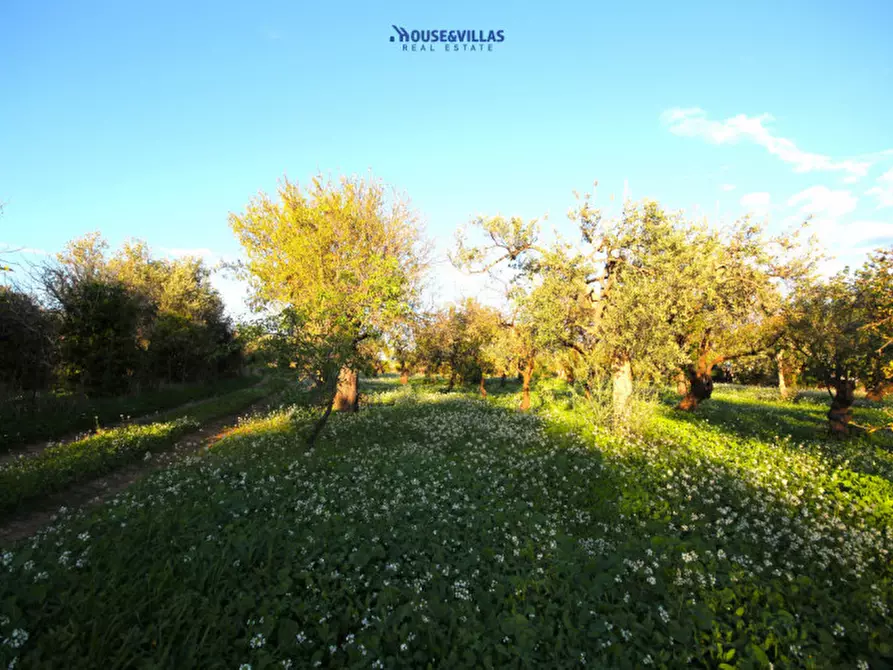 Immagine 3 di Terreno in vendita  in cda busulmone a Noto