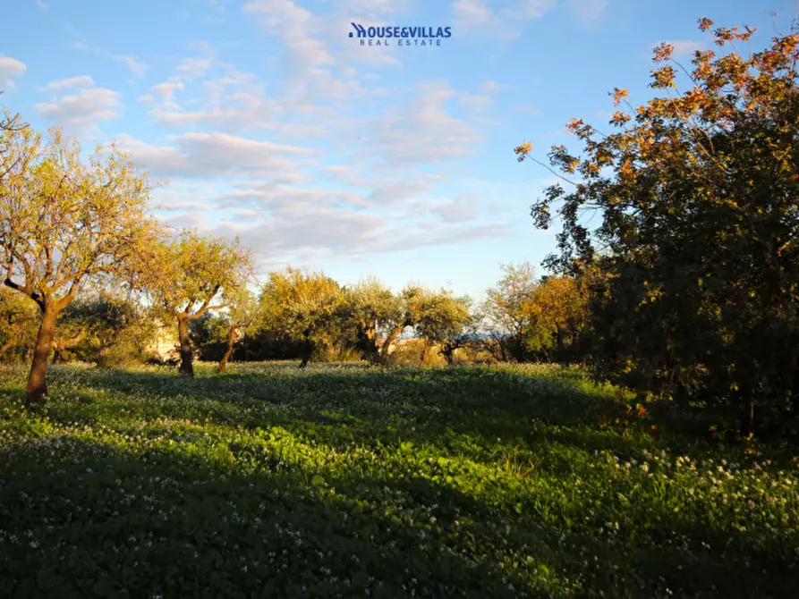Immagine 5 di Terreno in vendita  in cda busulmone a Noto