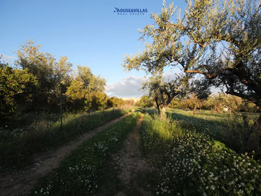 Immagine 6 di Terreno in vendita  in cda busulmone a Noto