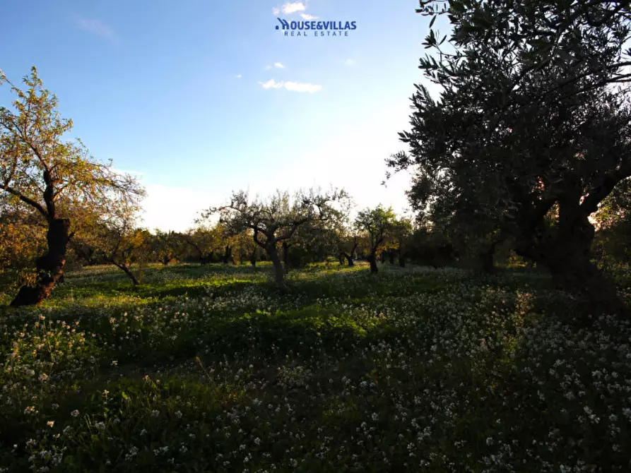 Immagine 7 di Terreno in vendita  in cda busulmone a Noto