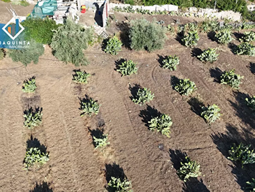 Immagine 2 di Terreno in vendita  in Contrada Alfano a Palagonia