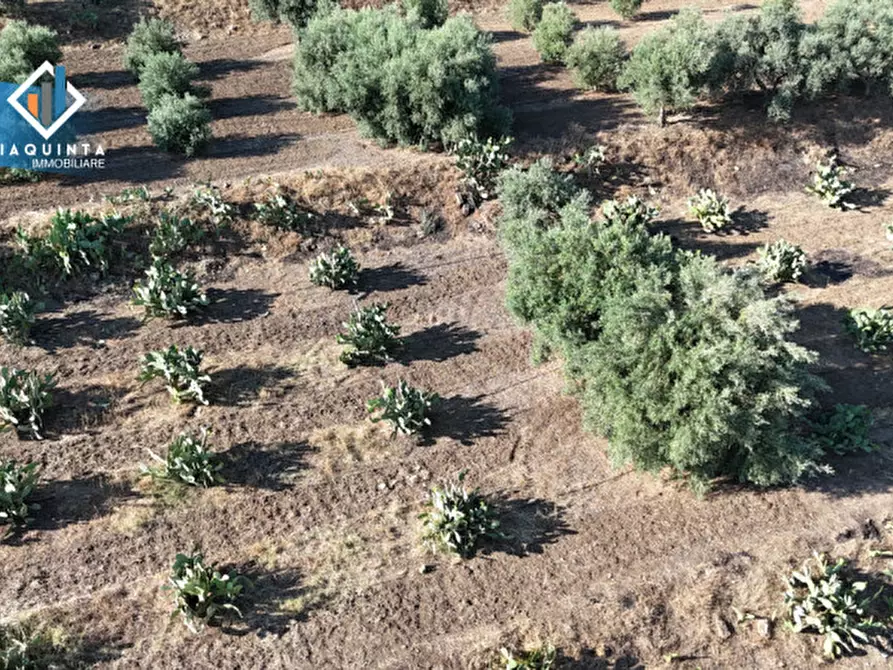Immagine 4 di Terreno in vendita  in Contrada Alfano a Palagonia