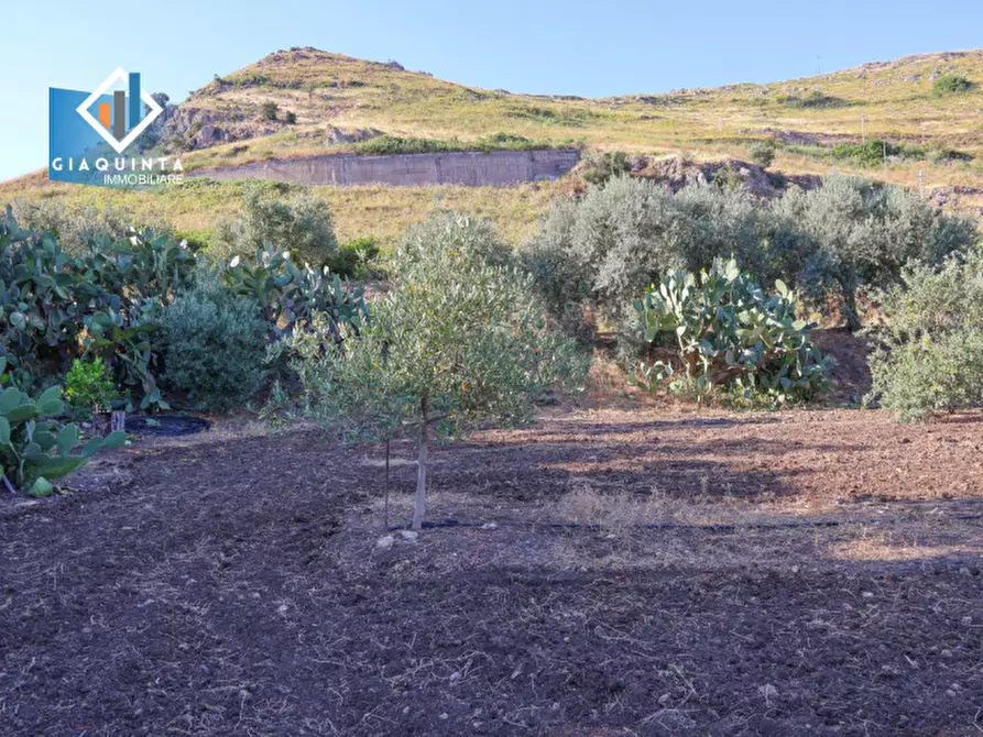 Immagine 5 di Terreno in vendita  in Contrada Alfano a Palagonia