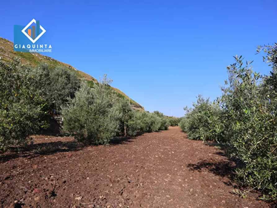 Immagine 6 di Terreno in vendita  in Contrada Alfano a Palagonia
