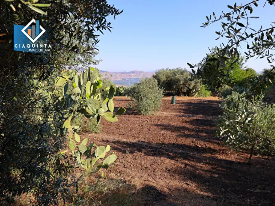 Immagine 7 di Terreno in vendita  in Contrada Alfano a Palagonia