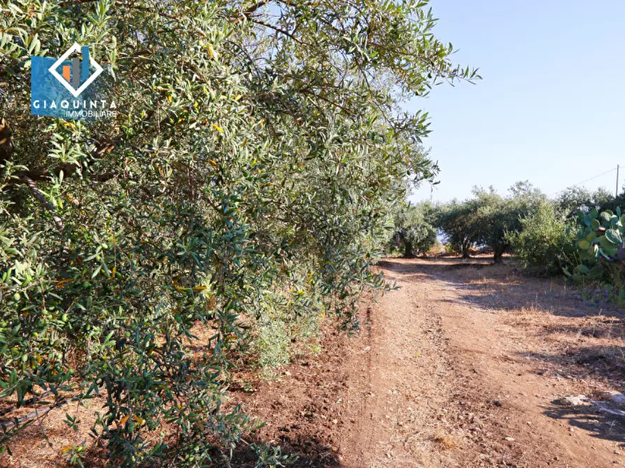 Immagine 9 di Terreno in vendita  in Contrada Alfano a Palagonia