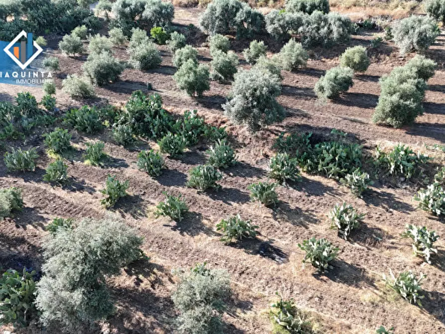 Immagine 10 di Terreno in vendita  in Contrada Alfano a Palagonia