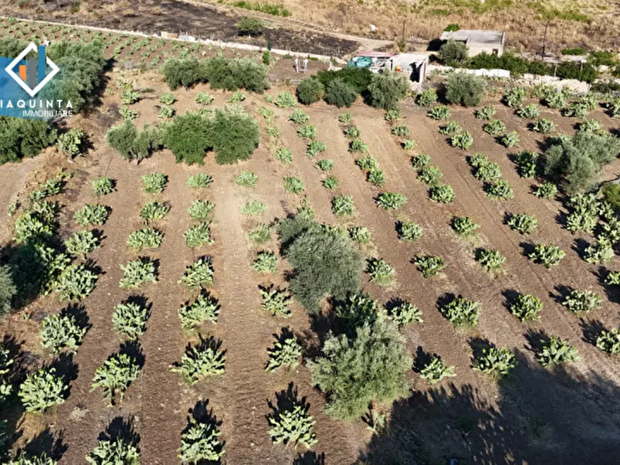 Immagine 11 di Terreno in vendita  in Contrada Alfano a Palagonia