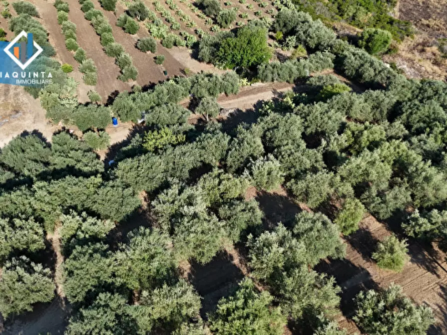 Immagine 13 di Terreno in vendita  in Contrada Alfano a Palagonia