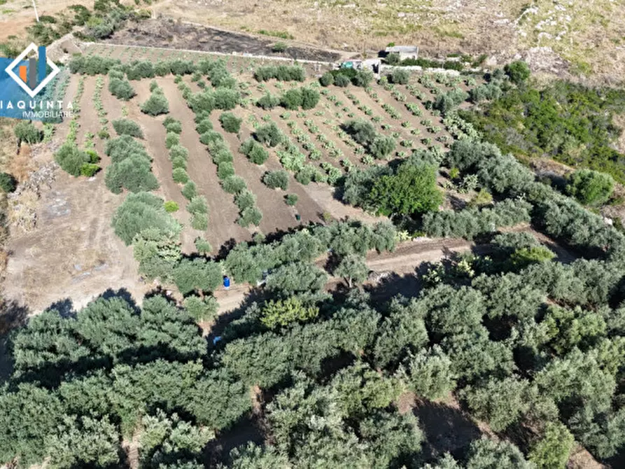 Immagine 14 di Terreno in vendita  in Contrada Alfano a Palagonia