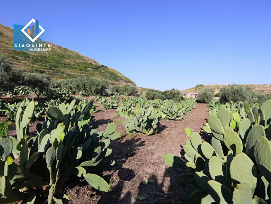 Immagine 15 di Terreno in vendita  in Contrada Alfano a Palagonia