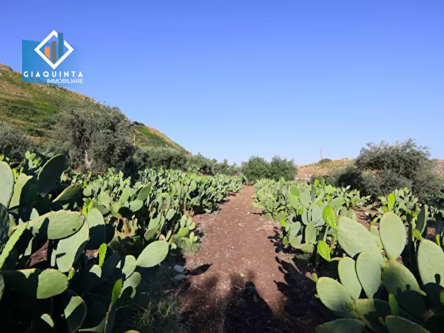 Immagine 16 di Terreno in vendita  in Contrada Alfano a Palagonia