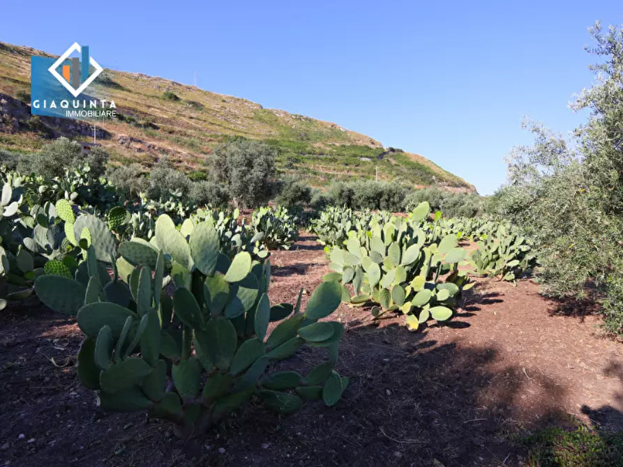 Immagine 17 di Terreno in vendita  in Contrada Alfano a Palagonia