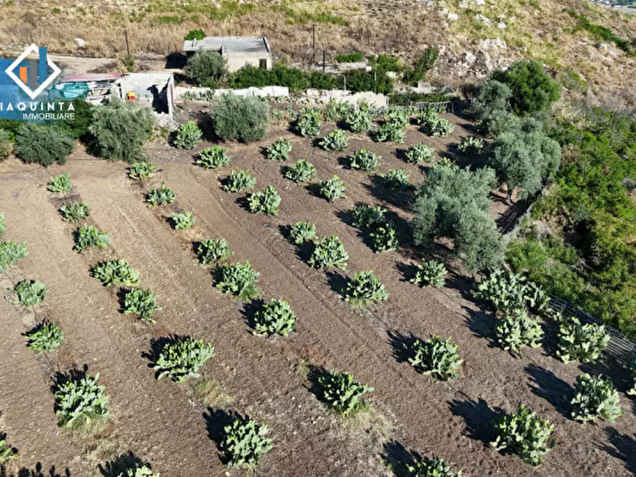 Immagine 18 di Terreno in vendita  in Contrada Alfano a Palagonia