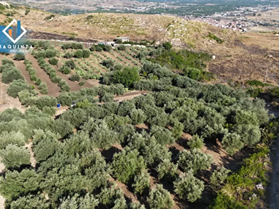 Immagine 19 di Terreno in vendita  in Contrada Alfano a Palagonia