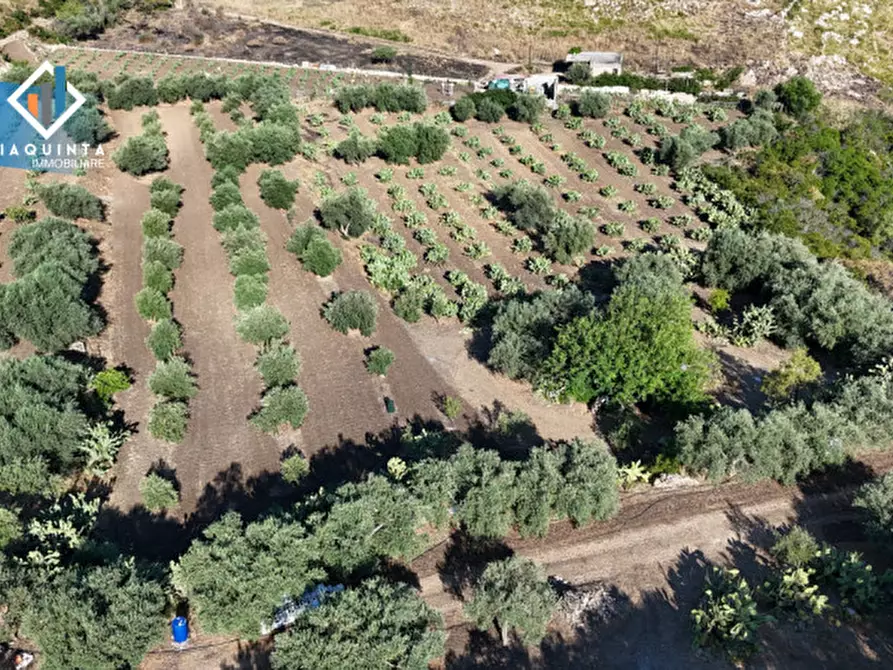 Immagine 20 di Terreno in vendita  in Contrada Alfano a Palagonia