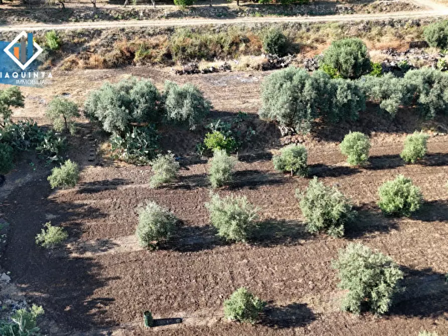 Immagine 21 di Terreno in vendita  in Contrada Alfano a Palagonia