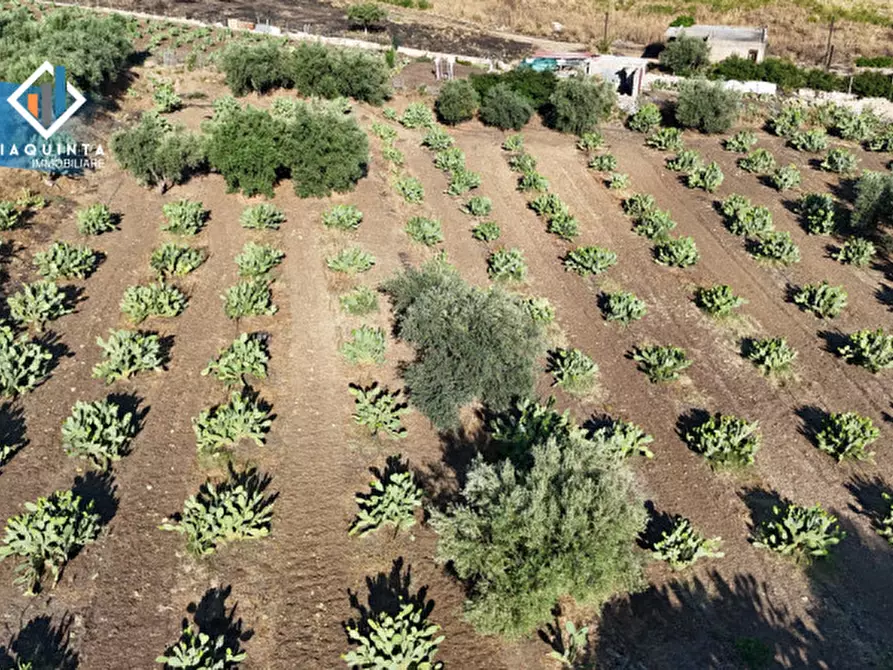 Immagine 22 di Terreno in vendita  in Contrada Alfano a Palagonia