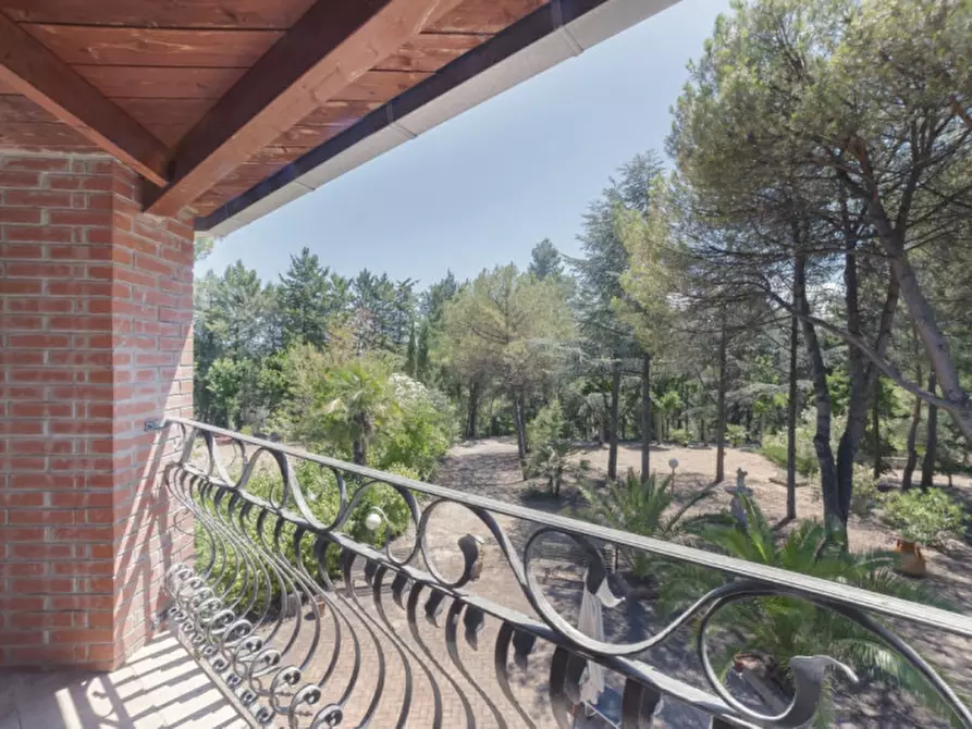 Immagine 27 di Villa in vendita  in C.da Villa Sibi a Moscufo
