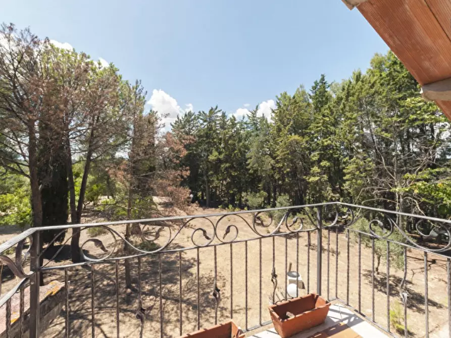 Immagine 28 di Villa in vendita  in C.da Villa Sibi a Moscufo