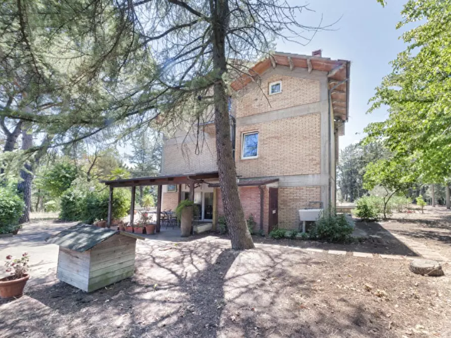 Immagine 47 di Villa in vendita  in C.da Villa Sibi a Moscufo