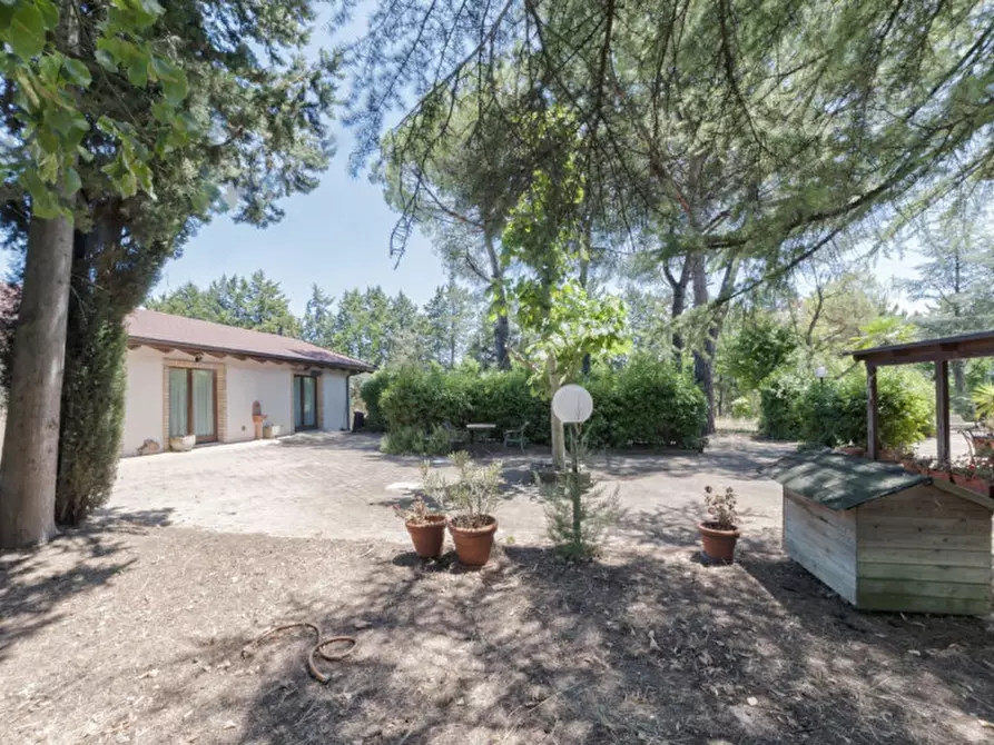 Immagine 49 di Villa in vendita  in C.da Villa Sibi a Moscufo