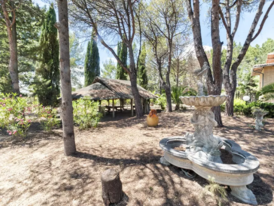 Immagine 51 di Villa in vendita  in C.da Villa Sibi a Moscufo