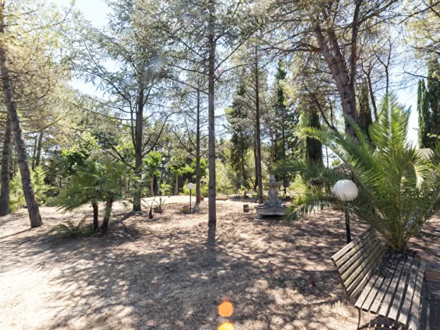 Immagine 55 di Villa in vendita  in C.da Villa Sibi a Moscufo