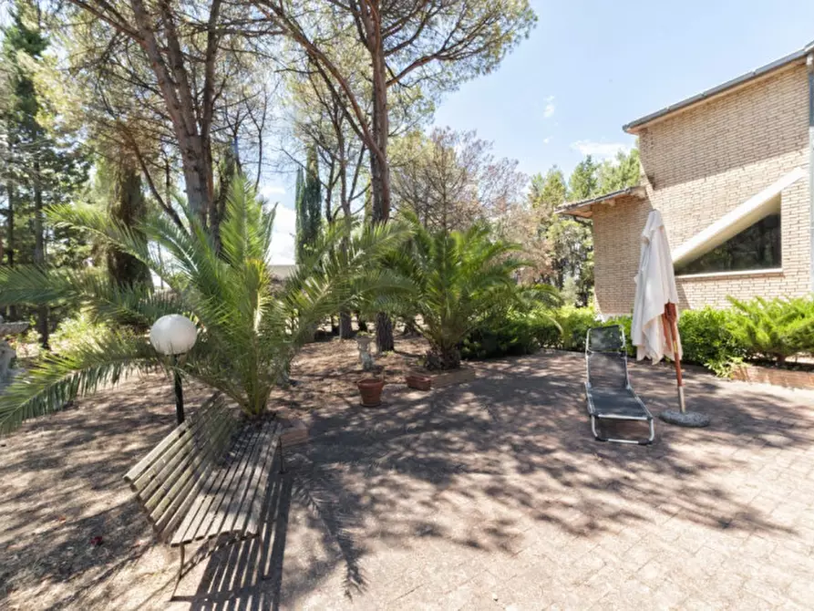 Immagine 61 di Villa in vendita  in C.da Villa Sibi a Moscufo