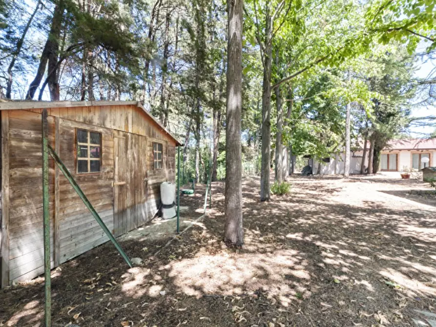 Immagine 62 di Villa in vendita  in C.da Villa Sibi a Moscufo