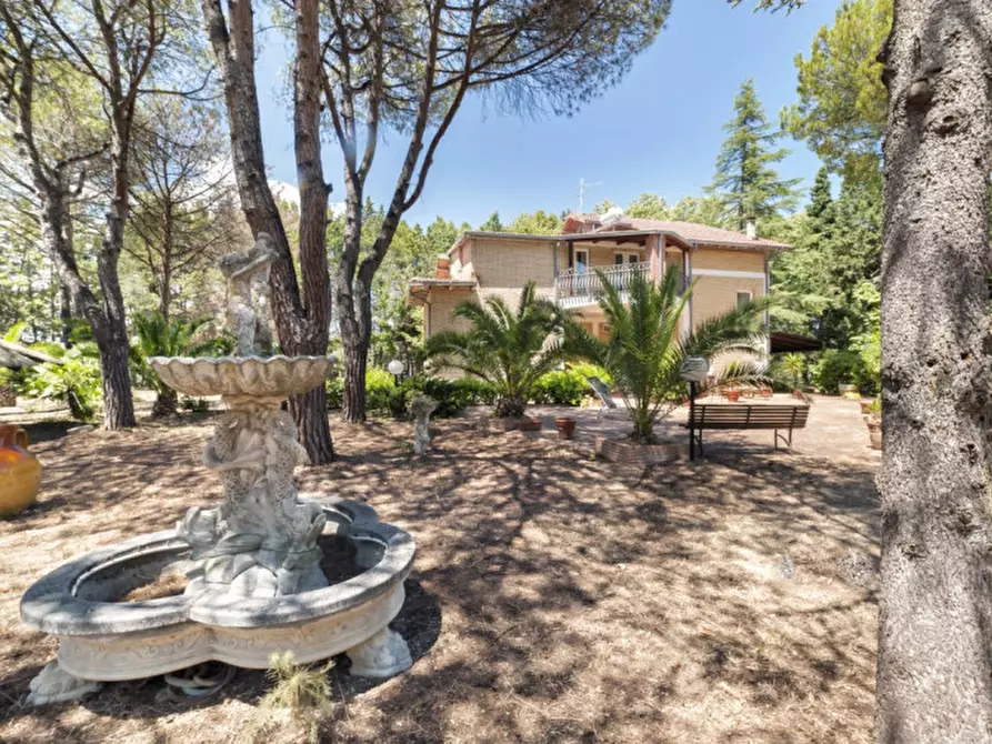 Immagine 63 di Villa in vendita  in C.da Villa Sibi a Moscufo