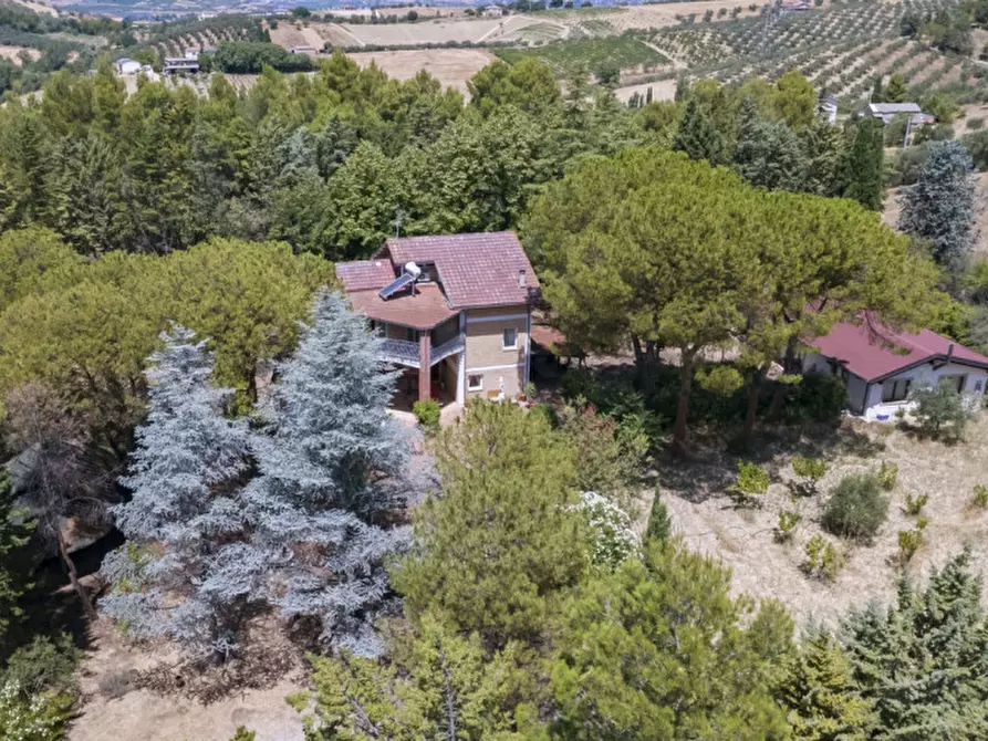 Immagine 64 di Villa in vendita  in C.da Villa Sibi a Moscufo