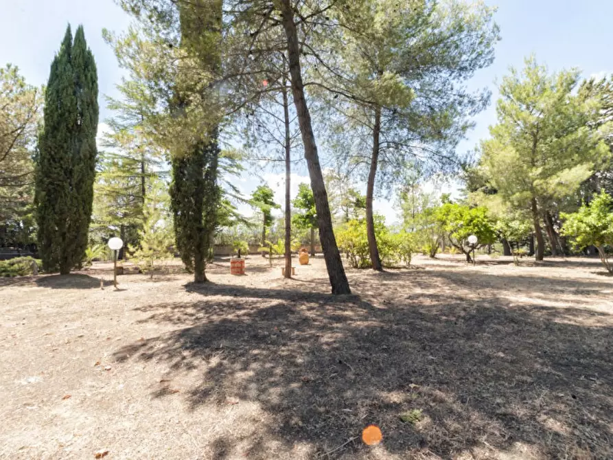 Immagine 65 di Villa in vendita  in C.da Villa Sibi a Moscufo