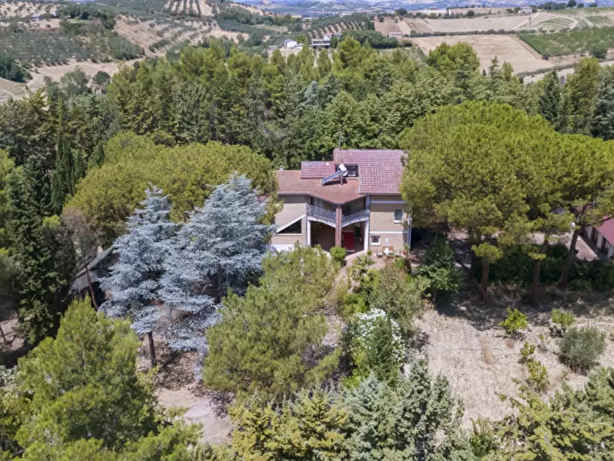 Immagine 65 di Villa in vendita  in C.da Villa Sibi a Moscufo