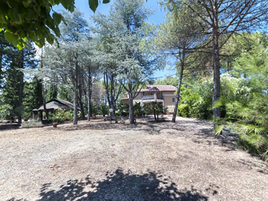 Immagine 66 di Villa in vendita  in C.da Villa Sibi a Moscufo