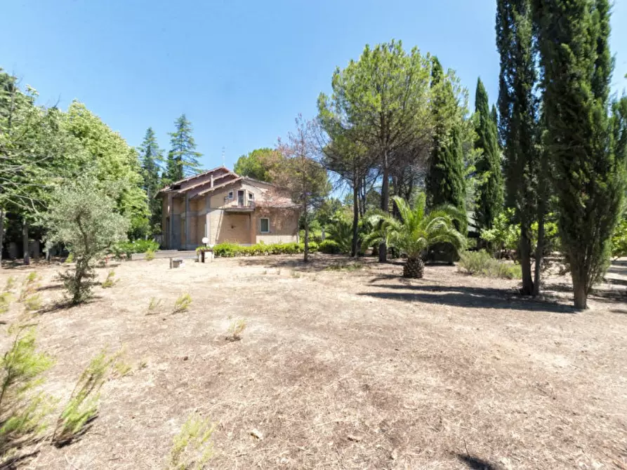 Immagine 67 di Villa in vendita  in C.da Villa Sibi a Moscufo