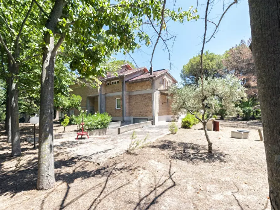 Immagine 68 di Villa in vendita  in C.da Villa Sibi a Moscufo