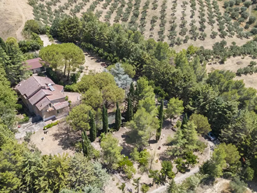 Immagine 68 di Villa in vendita  in C.da Villa Sibi a Moscufo