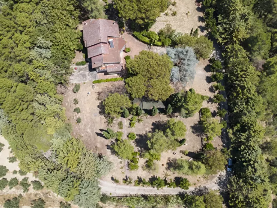Immagine 69 di Villa in vendita  in C.da Villa Sibi a Moscufo
