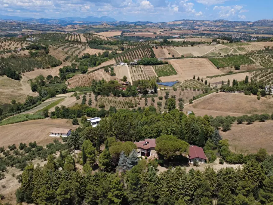 Immagine 70 di Villa in vendita  in C.da Villa Sibi a Moscufo