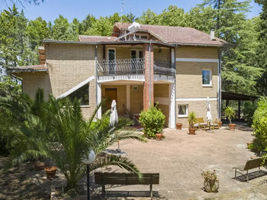 Immagine 71 di Villa in vendita  in C.da Villa Sibi a Moscufo