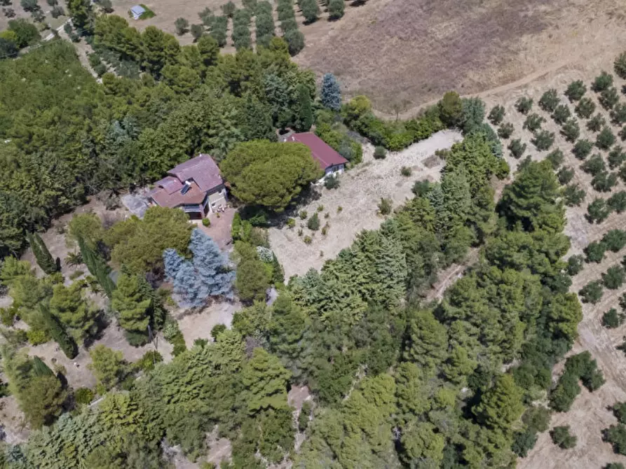 Immagine 75 di Villa in vendita  in C.da Villa Sibi a Moscufo