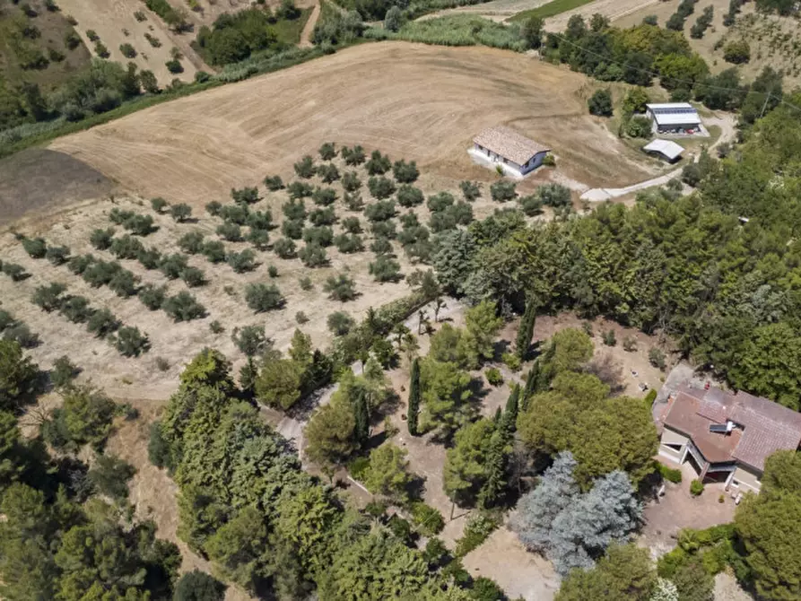 Immagine 76 di Villa in vendita  in C.da Villa Sibi a Moscufo