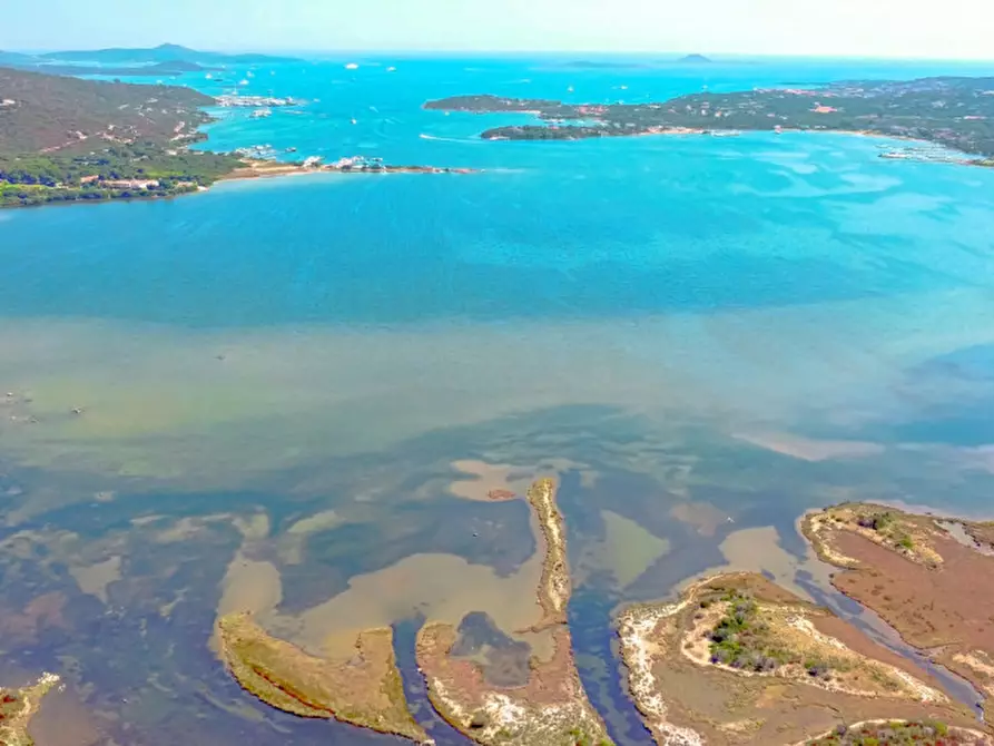 Immagine 36 di Villa in vendita  in Via Cugnana a Olbia