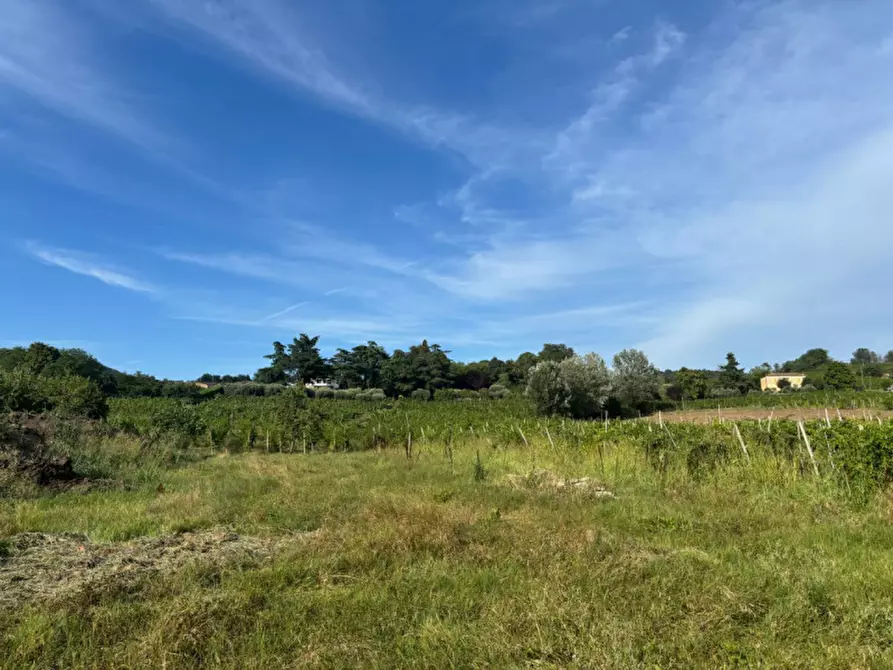 Immagine 14 di Villetta a schiera in vendita  in Piazza liberazione n. 50 a Vo