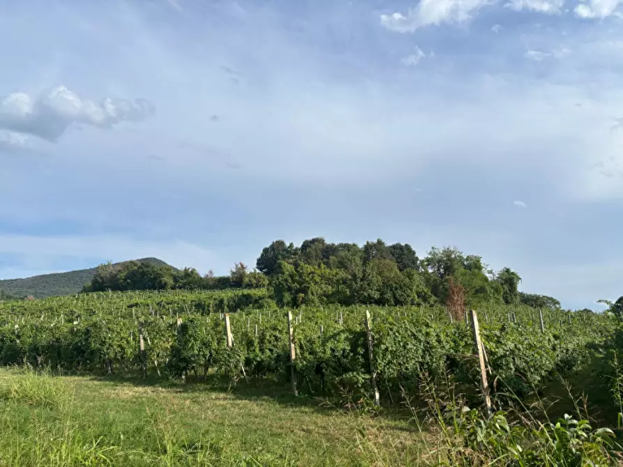 Immagine 15 di Villetta a schiera in vendita  in Piazza liberazione n. 50 a Vo