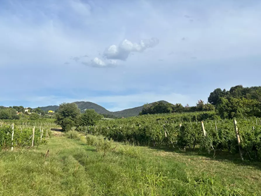 Immagine 16 di Villetta a schiera in vendita  in Piazza liberazione n. 50 a Vo