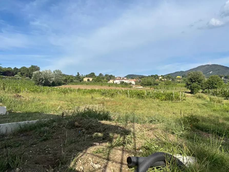 Immagine 17 di Villetta a schiera in vendita  in Piazza liberazione n. 50 a Vo