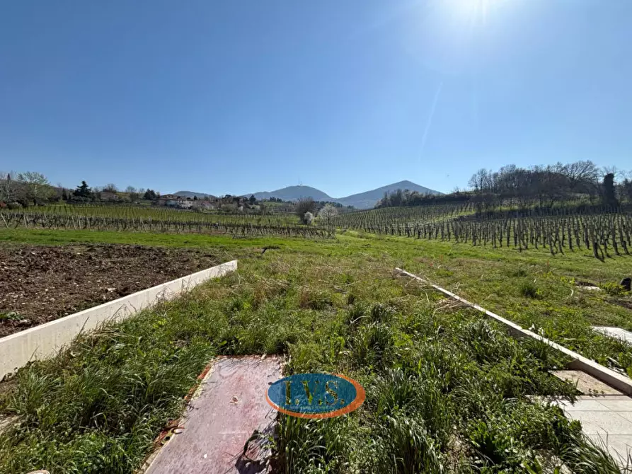 Immagine 15 di Villetta a schiera in vendita  in Piazza liberazione n. 50 a Vo