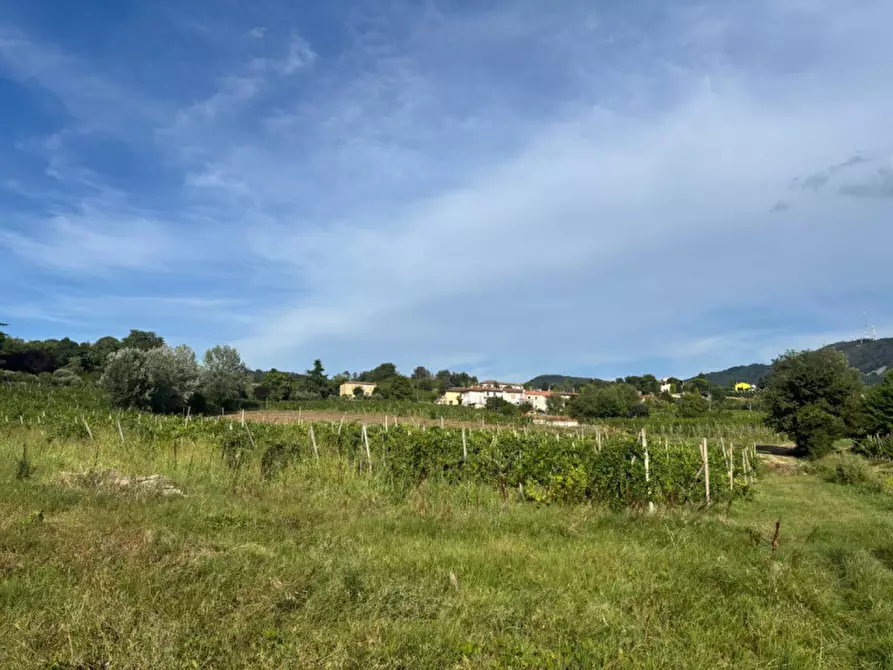 Immagine 18 di Villetta a schiera in vendita  in Piazza liberazione n. 50 a Vo